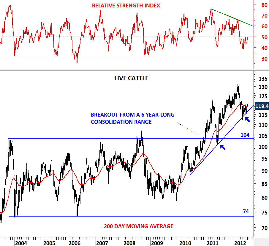 trading-live-cattle-futures-using-seasonality-price-momentum-youtube